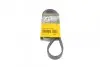 Ремінь генератора Ford Focus/Fiesta/Fusion 1.25-1.6 99-12/Mazda 2 1.25-1.6 03-07 CONTINENTAL 6PK1042 ELAST