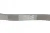 Ремінь генератора Ford Focus/Fiesta/Fusion 1.25-1.6 99-12/Mazda 2 1.25-1.6 03-07 CONTINENTAL Contitech 6PK1042 ELAST (фото 3)