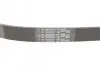 Ремінь генератора VW Golf III/Passat/Caddy 1.9/2.0TDI/SDI 03-10/Skoda Octavia/Superb 1.9/2.0TD 04-15 CONTINENTAL Contitech 6PK1050 (фото 3)
