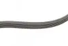 Ремень генератора Ford Focus 1.4/1.6i 03-/Volvo C30/S40/V50 1.6 05-12 (6PK1059 ELAST+5PK868 ELAST) CONTINENTAL Contitech 6PK1059 ELAST T2 (фото 2)