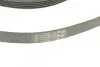 Ремень генератора Ford Focus 1.4/1.6i 03-/Volvo C30/S40/V50 1.6 05-12 (6PK1059 ELAST+5PK868 ELAST) CONTINENTAL Contitech 6PK1059 ELAST T2 (фото 4)