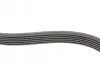 Ремень генератора Ford Focus 1.4/1.6i 03-/Volvo C30/S40/V50 1.6 05-12 (6PK1059 ELAST+5PK868 ELAST) CONTINENTAL Contitech 6PK1059 ELAST T2 (фото 6)