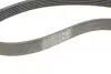 Ремень генератора Ford Focus 1.4/1.6i 03-/Volvo C30/S40/V50 1.6 05-12 (6PK1059 ELAST+5PK868 ELAST) CONTINENTAL Contitech 6PK1059 ELAST T2 (фото 8)