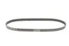Ремень генератора Citroen C3/C4/Peugeot 307 1.4-1.6HDi 02- CONTINENTAL Contitech 6PK1090 ELAST (фото 2)
