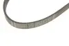Ремень генератора Citroen C3/C4/Peugeot 307 1.4-1.6HDi 02- CONTINENTAL Contitech 6PK1090 ELAST (фото 4)