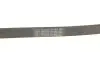 Ремень генератора Citroen C3/C4/Peugeot 307 1.4-1.6HDi 02- CONTINENTAL Contitech 6PK1090 ELAST (фото 5)