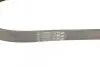 Ремень генератора VW Golf/Caddy 1.4 04-10/Renault Espace 3.5 02-/Audi A4/A6 2.0TFSI 08-15 CONTINENTAL Contitech 6PK1100 (фото 2)