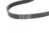 Ремінь генератора Skoda Octavia/VW Golf 1.6-2.0/1.9TDI 97-13/Passat B6/B7 1.8-2.0TSI/T5 1.9TDI 03-15 CONTINENTAL Contitech 6PK1120 (фото 3)