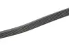 Ремень поликлиновый Contitech 6PK1124ELAST (фото 3)