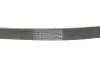 Ремень поликлиновый Contitech 6PK1124ELAST (фото 5)