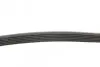 Ремень генератора Renault Megane/Laguna 2.0 97-03/Clio/Grand Scenic/Talisman 1.5dCi 15- CONTINENTAL Contitech 6PK1125 (фото 2)