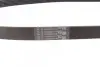 Ремень генератора Renault Master 2.2/2.5dCi 00-/Peugeot 306/405 1.8/1.9D 93-01/Ford Fiesta 1.8 00-02 CONTINENTAL Contitech 6PK1145 (фото 2)
