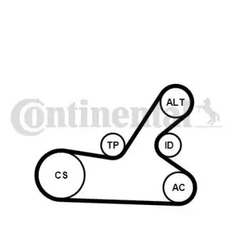 Автозапчасть Contitech 6PK1145K4