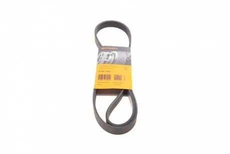 Ремень генератора Citroen Jumper/Peugeot Boxer 3.0HDI CONTINENTAL Contitech 6PK1165