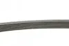 Комплект ременя генератора Renault Clio/Kangoo/Megane/Scenic 1.5dCi 01- (6PK1200) CONTINENTAL Contitech 6PK1200K1 (фото 2)