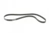 Ремінь генератора Renault Laguna 2.0 95-01/Audi A3 3.2 03-09/Ford Kuga 2.0TDCi 13- CONTINENTAL Contitech 6PK1240 (фото 5)