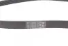 Ремінь генератора Ford Focus 1.8/2.0 04-12 CONTINENTAL Contitech 6PK1240 ELAST (фото 2)