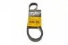 Ремень генератора Ford Focus 1.8/2.0 04-12 (6PK1249) CONTINENTAL Contitech 6PK1249 ELAST (фото 1)