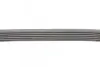 Ремень генератора Ford Focus 1.8/2.0 04-12 (6PK1249) CONTINENTAL Contitech 6PK1249 ELAST (фото 2)