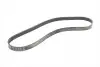 Ремень генератора Ford Focus 1.8/2.0 04-12 (6PK1249) CONTINENTAL Contitech 6PK1249 ELAST (фото 5)