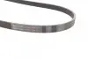 Ремень генератора Opel Combo/Astra 1.7DTI/CDTI 01-/Ford Focus/Fiesta 1.0 18-/Toyota Venza 2.7 08-16 CONTINENTAL Contitech 6PK1250 (фото 2)