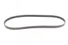 Ремень генератора Opel Combo/Astra 1.7DTI/CDTI 01-/Ford Focus/Fiesta 1.0 18-/Toyota Venza 2.7 08-16 CONTINENTAL Contitech 6PK1250 (фото 4)