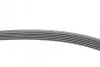 Ремень поликлиновый Hyundai i30 1,4i 1,6i 07&gt;11, Hyundai Tucson 1,6GDI 1,6T-GDI 15&gt;20 Contitech 6PK1256 (фото 2)