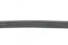 Ремень генератора VW T5/Golf 2.3-3.2 V6 03-09/Audi A4/A6/Q5 2.0TDI 08-17 CONTINENTAL Contitech 6PK1264 (фото 2)