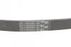 Ремень генератора VW T5/Golf 2.3-3.2 V6 03-09/Audi A4/A6/Q5 2.0TDI 08-17 CONTINENTAL Contitech 6PK1264 (фото 3)