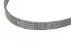 Ремень генератора VW T5/Golf 2.3-3.2 V6 03-09/Audi A4/A6/Q5 2.0TDI 08-17 CONTINENTAL Contitech 6PK1264 (фото 4)