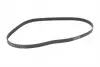 Ремень генератора VW T5/Golf 2.3-3.2 V6 03-09/Audi A4/A6/Q5 2.0TDI 08-17 CONTINENTAL Contitech 6PK1264 (фото 5)