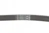 Ремень генератора Ford Focus/Mondeo 2.0TDCi 14-/Fiat Bravo/Stilo 1.8/1.9D 07- CONTINENTAL Contitech 6PK1270 (фото 3)
