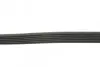 Ремінь генератора Ford Focus/Mazda 3/5/Volvo S40/V50/C30 1.8/2.0 03- CONTINENTAL Contitech 6PK1306 (фото 2)