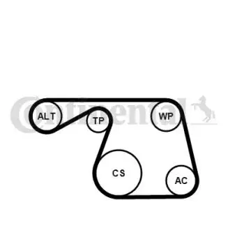 Автозапчасть Contitech 6PK1310K1
