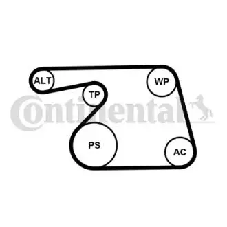 Автозапчасть Contitech 6PK1318K2