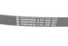 Ремень генератора MB C-class (W202)/E-class (W210) 2.0 97-03/Opel Corsa D 1.3 CDTI 06-14 CONTINENTAL Contitech 6PK1330 (фото 3)