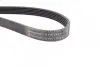 Ремінь генератора Ford Transit Connect 02-13/Focus 99-05/Toyota Avensis 03-12/Corolla 01-07/Renault CONTINENTAL Contitech 6PK1420 (фото 2)