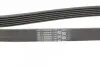 Ремінь генератора Citroen Berlingo/Jumpy/Fiat Scudo/Peugeot Partner 1.9D 98-/Hyundai Accent 02-05 CONTINENTAL Contitech 6PK1440 (фото 3)