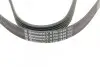 Ремінь генератора Citroen Berlingo/Jumpy/Fiat Scudo/Peugeot Partner 1.9D 98-/Hyundai Accent 02-05 CONTINENTAL Contitech 6PK1440 (фото 4)