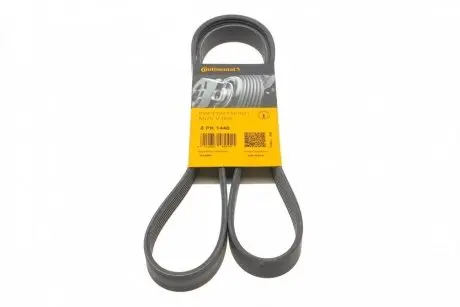 Ремінь генератора Citroen Berlingo/Jumpy/Fiat Scudo/Peugeot Partner 1.9D 98-/Hyundai Accent 02-05 CONTINENTAL Contitech 6PK1440