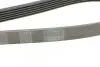Ремень генератора Ford Fiesta/Ka 1.3i 95-08 CONTINENTAL Contitech 6PK1448 (фото 3)