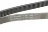 Ремень генератора Ford Fiesta/Ka 1.3i 95-08 CONTINENTAL Contitech 6PK1448 (фото 4)