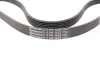 Ремень генератора Peugeot 206/Partner/Citroen Berlingo 1.1-1.6 02-/VW Fox/Polo 1.2 02-14 CONTINENTAL Contitech 6PK1453 (фото 3)