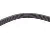 Ремень генератора Peugeot 206/Partner/Citroen Berlingo 1.1-1.6 02-/VW Fox/Polo 1.2 02-14 CONTINENTAL Contitech 6PK1453 (фото 4)