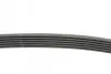 Ремінь генератора Ford Transit Connect/Focus/Fiesta 1.0 EcoBoost 13- CONTINENTAL Contitech 6PK1502 EXTRA (фото 2)