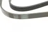 Ремень генератора BMW 3 (E36) 3.0/3.2 94-99/Mitsubishi Pajero Sport 2.5 DI-D 4WD 08- CONTINENTAL Contitech 6PK1515 (фото 3)
