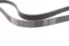 Ремінь генератора Ford Focus 1.8 TDCi 05-12/Skoda Octavia/VW Lupo/Seat Arosa 1.4 i 99-01 CONTINENTAL Contitech 6PK1520 (фото 2)