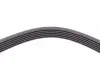 Ремінь генератора Ford Focus 1.8 TDCi 05-12/Skoda Octavia/VW Lupo/Seat Arosa 1.4 i 99-01 CONTINENTAL Contitech 6PK1520 (фото 3)