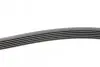 Ремінь генератора Opel Astra F/Corsa B/Vectra B 1.4-1.8 94-03/Ford Escort/Fiesta 1.6/1.8 92-95 CONTINENTAL Contitech 6PK1530 (фото 2)
