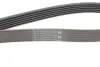 Ремень генератора Skoda Octavia 1.4/1.6 96-10/BMW 5 (E60)/7 (E65/E66/E67)/X5 (E53) 4.4/4.8 01-09 CONTINENTAL Contitech 6PK1548 (фото 3)